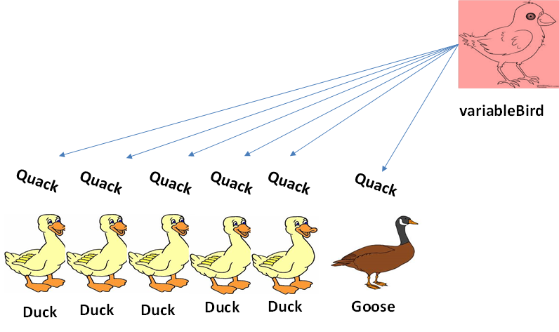 RoR6